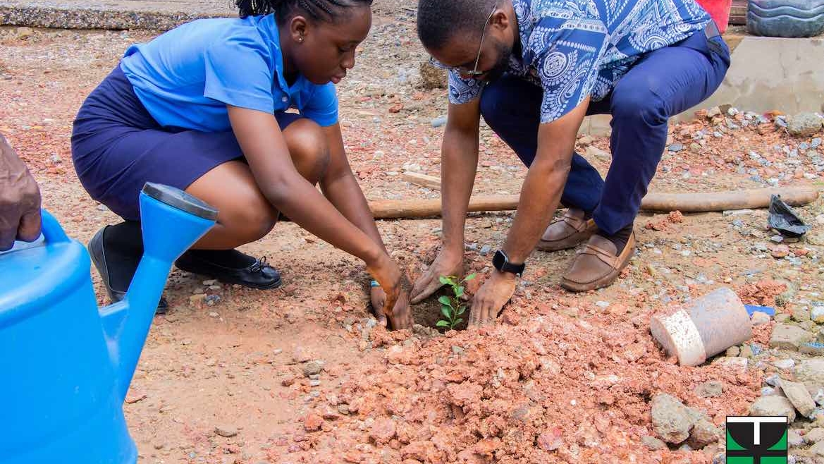 Bank Of Africa Partners Schools Nationwide For Financial Literacy And The Tree For Life Reforestation Initiative 2026
